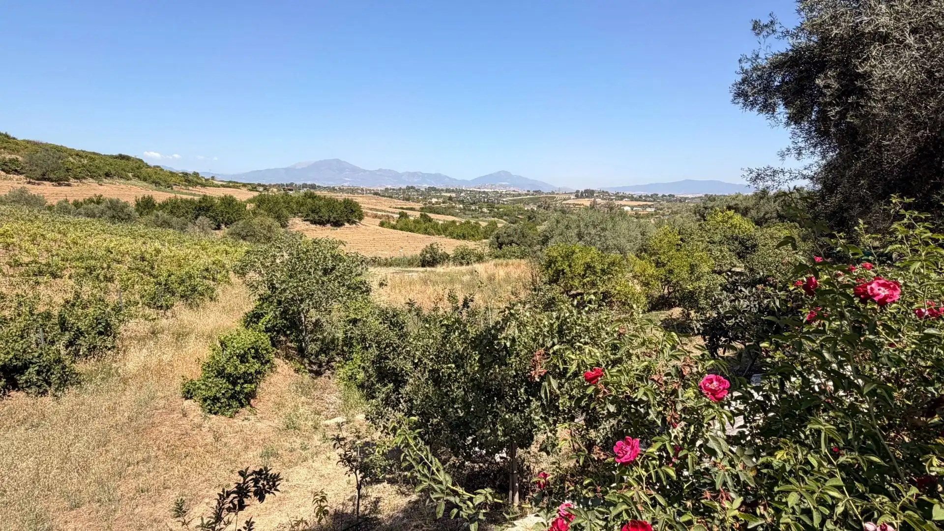 Finca rústica en venta en Centro