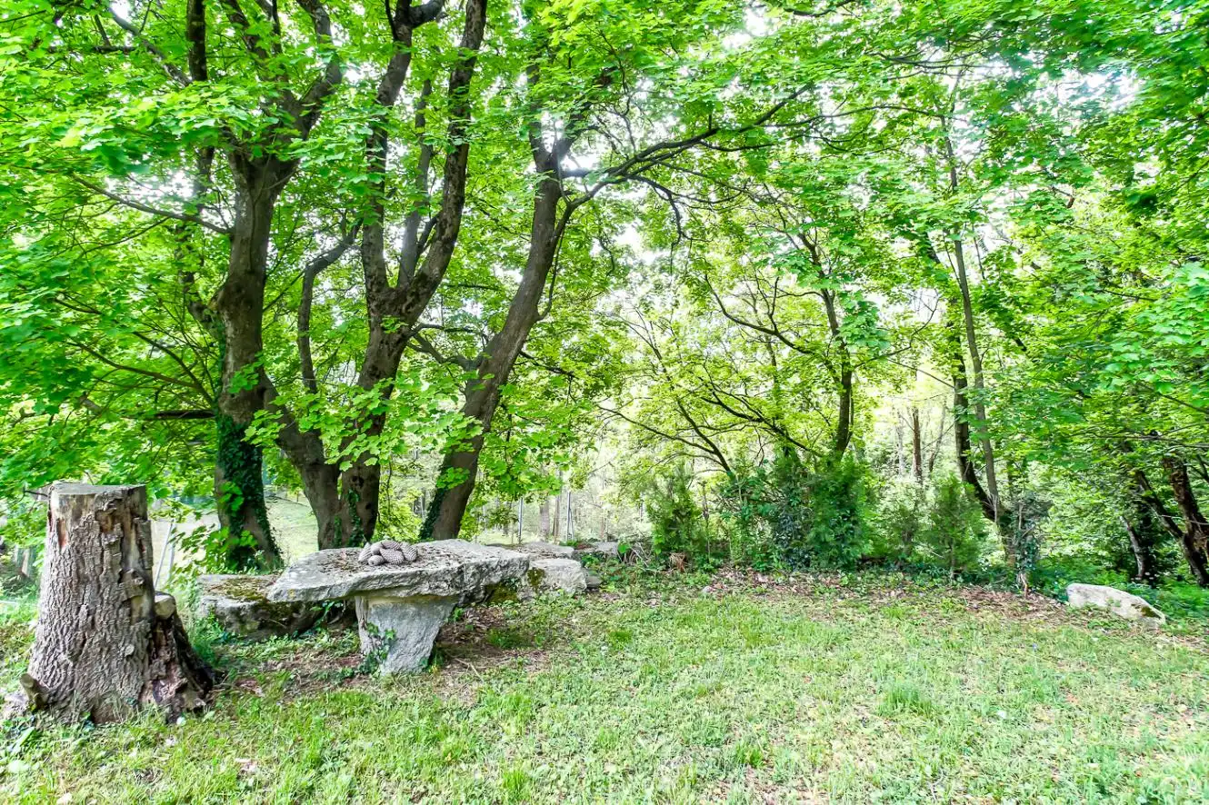Garden of Country homes for sale in Fogars de Montclús