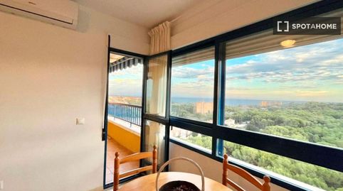 Foto 3 de Habitació a Campoamor, Orihuela