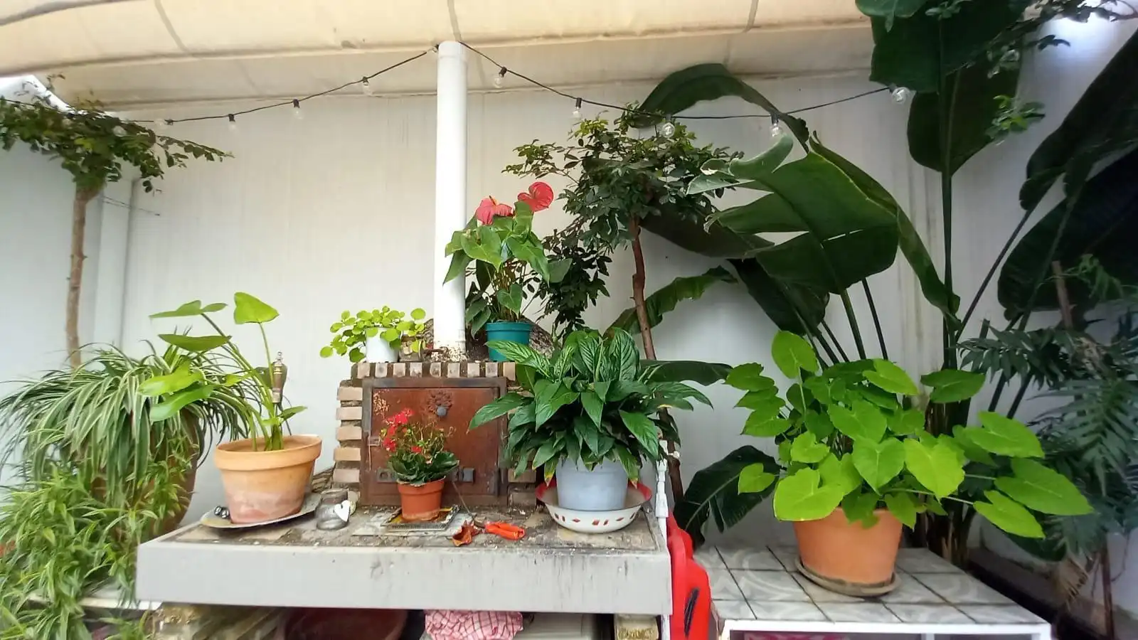 Terraza de Piso en venta en Jerez de la Frontera