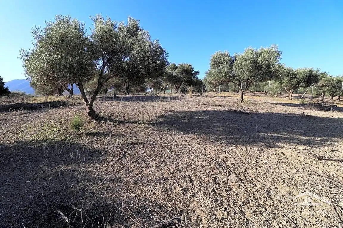 Terreni e lotti in vendita a Coín, imagen 12