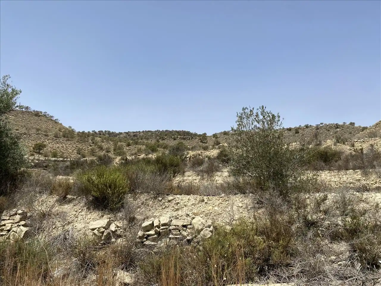 Lands and plots for sale in Paraje Partido Del Algarrobo Sector Zr-7, imagen 5