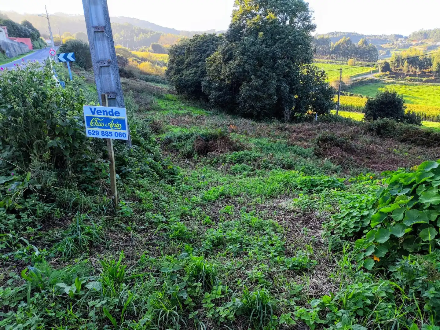 Wohnbaugrundstück zum Verkauf in Lugar LAGOA, imagen 3
