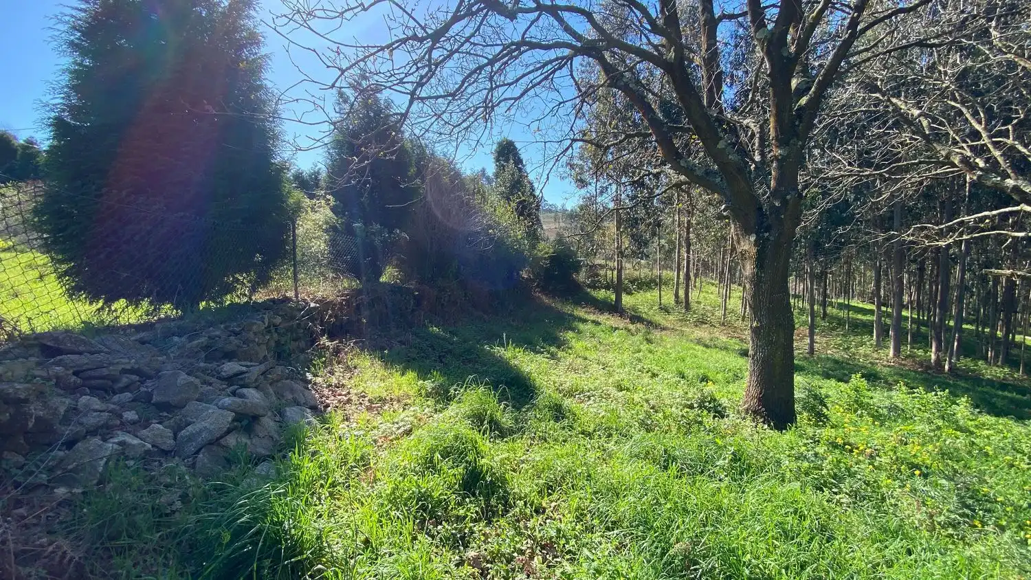 Terreni e lotti in vendita a Rúa Camiño dos Muiños 18, imagen 14