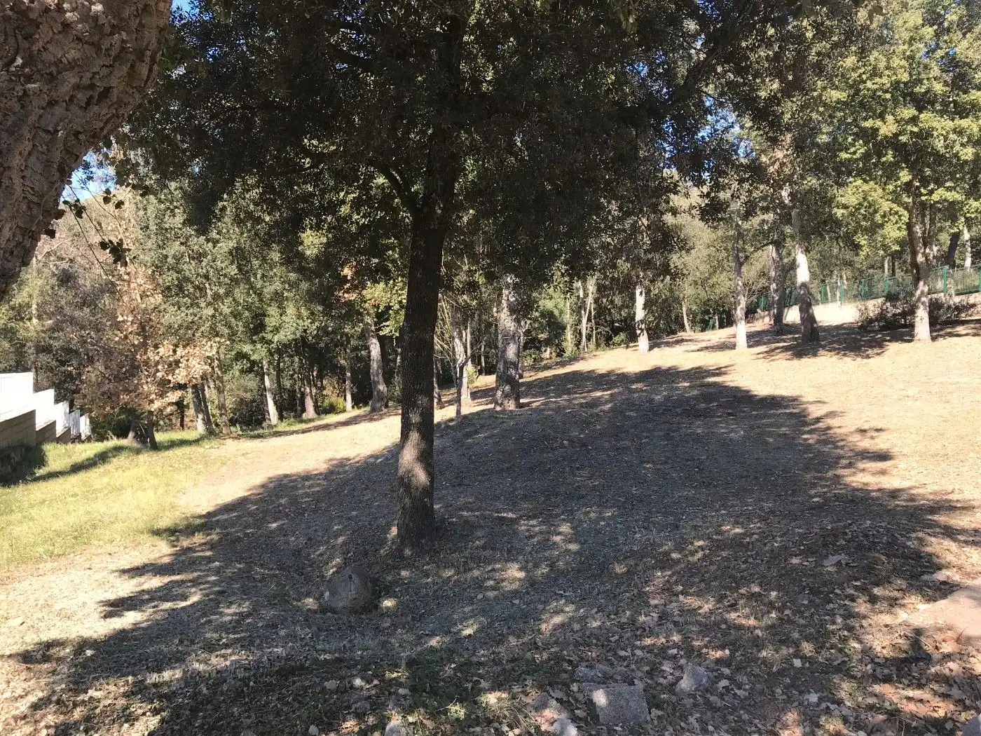 Terreny residencial en venda a Urbanitzacio Manso y Patel, imagen 4