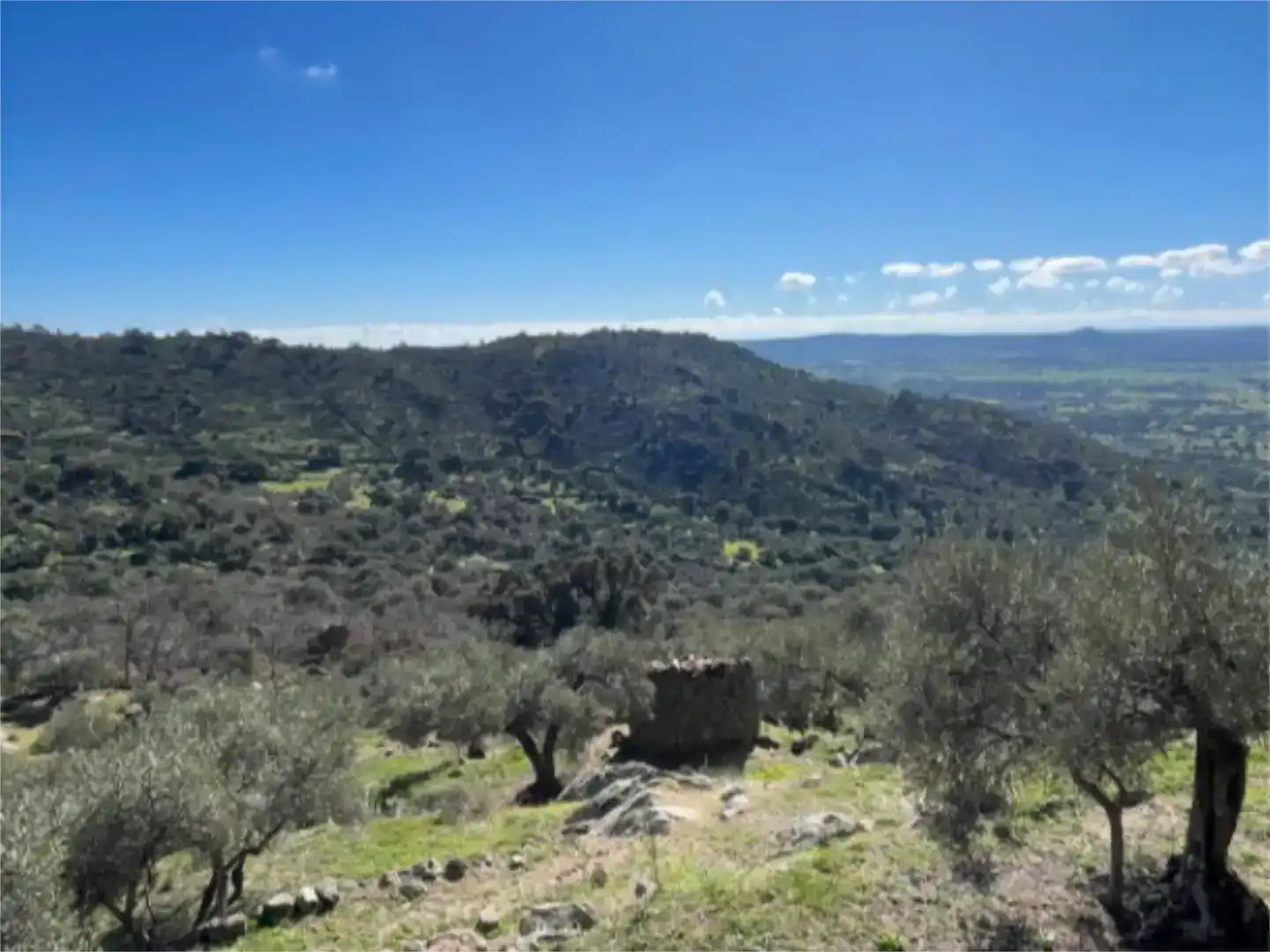 Grundstücke zum Verkauf in Montánchez