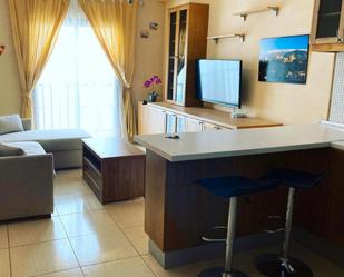 Sala d'estar de Apartament en venda en Santa Lucía de Tirajana amb Moblat, Rentadora i TV