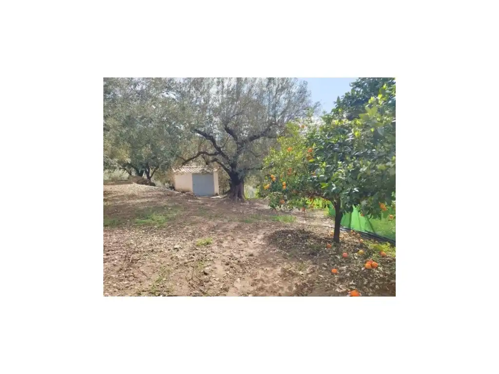 Finca rústica en venda en Periana amb Terrassa i Balcó