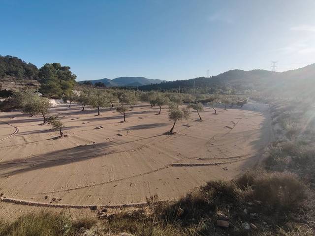 Terreno residencial en Venta en Biar