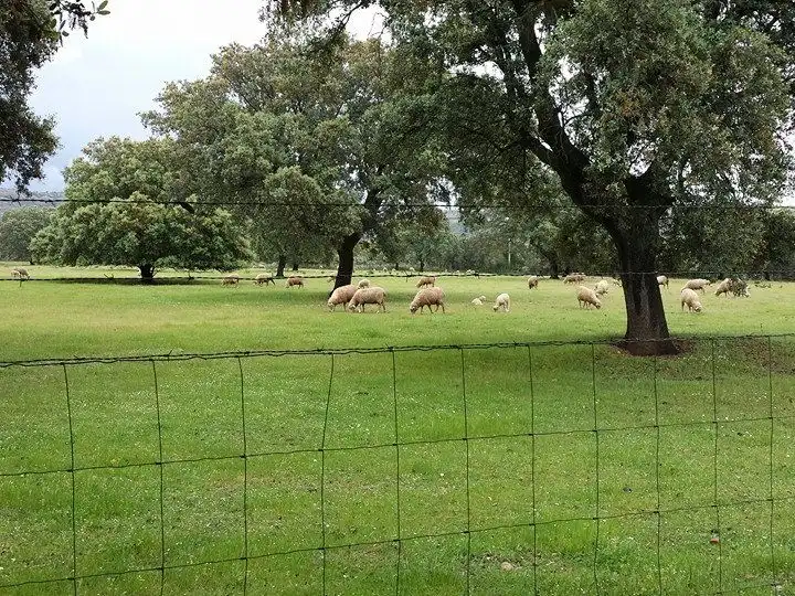 Terreno rustico in vendita a ROSARIO MARQUEZ 17 BAJO, imagen 3