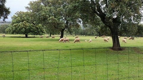 CAMPO EXCELENTE CON ACCESO CARRETERA, immagine 3