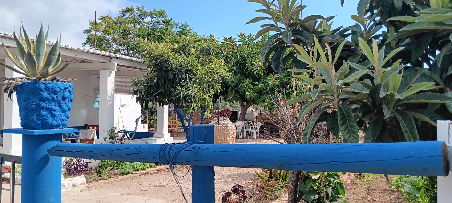 Exterior view of Houses for sale in Alcalà de Xivert  with Private garden and Terrace