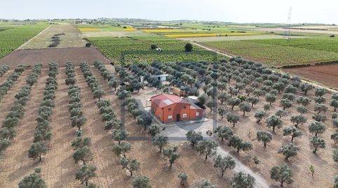 Foto 3 de Finca rústica en venda a Lebrija, Sevilla