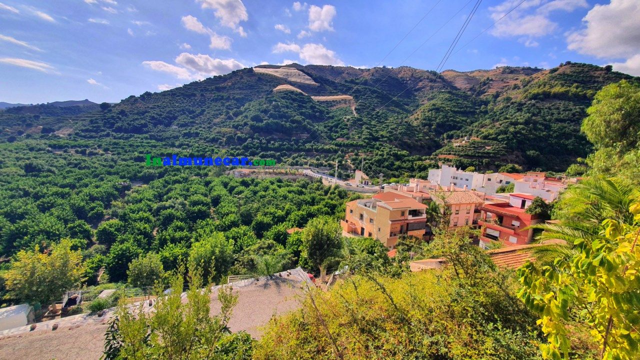 Vista exterior de Finca rústica en venta en Jete con Terraza, Trastero y Amueblado