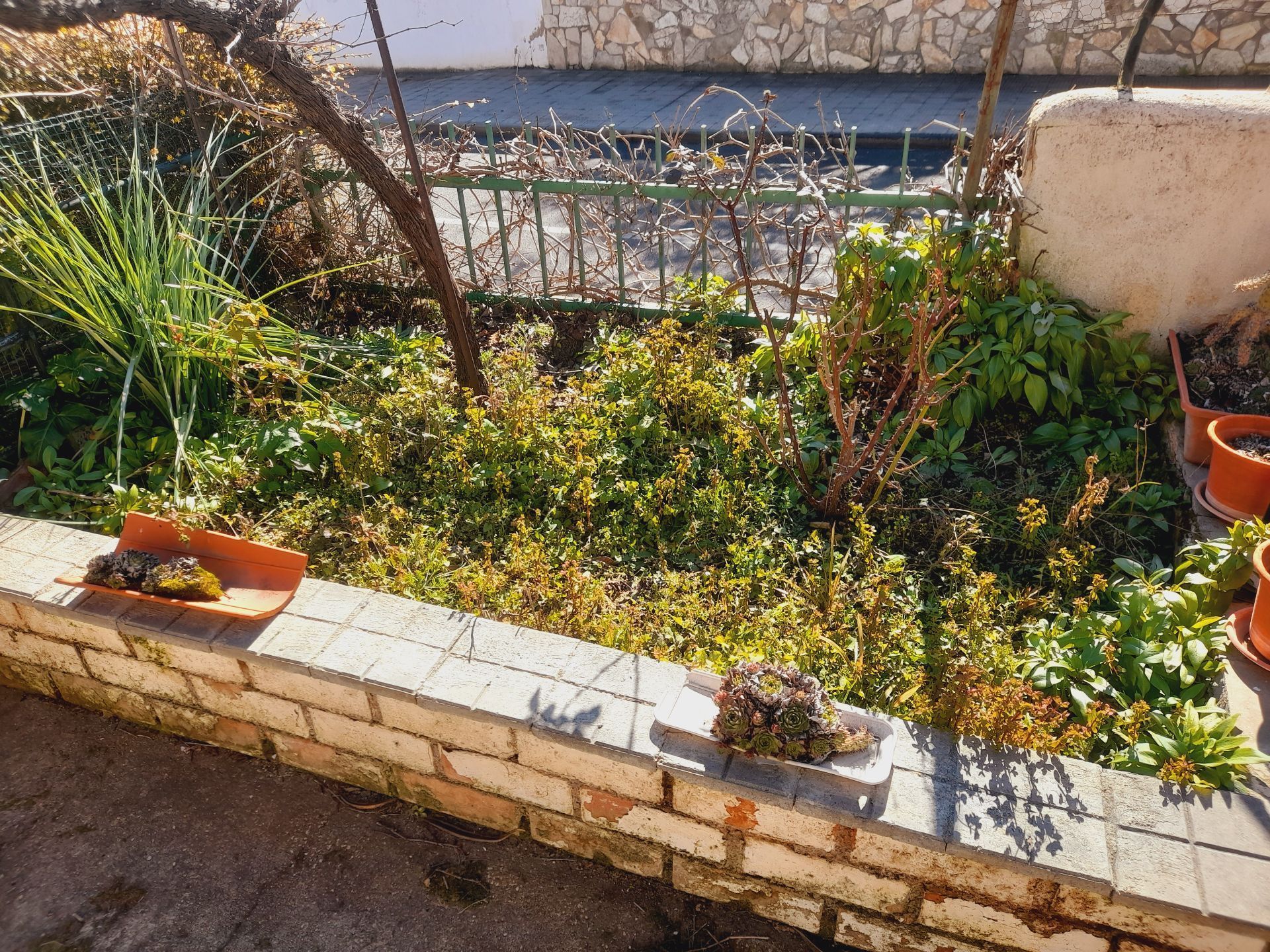 Jardí de Casa o xalet en venda en Zamora Capital  amb Jardí privat