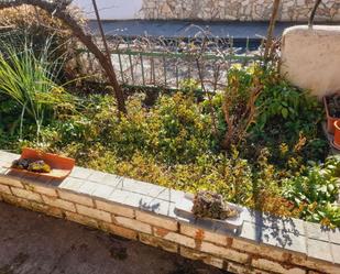 Garden of House or chalet for sale in Zamora Capital   with Private garden