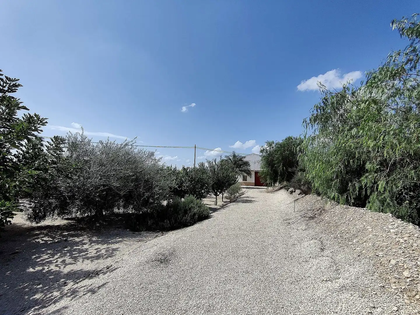 Villa à vendre à Crevillent, imagen 15