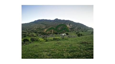 Foto 2 de Finca rústica en venta en El Gastor, Cádiz