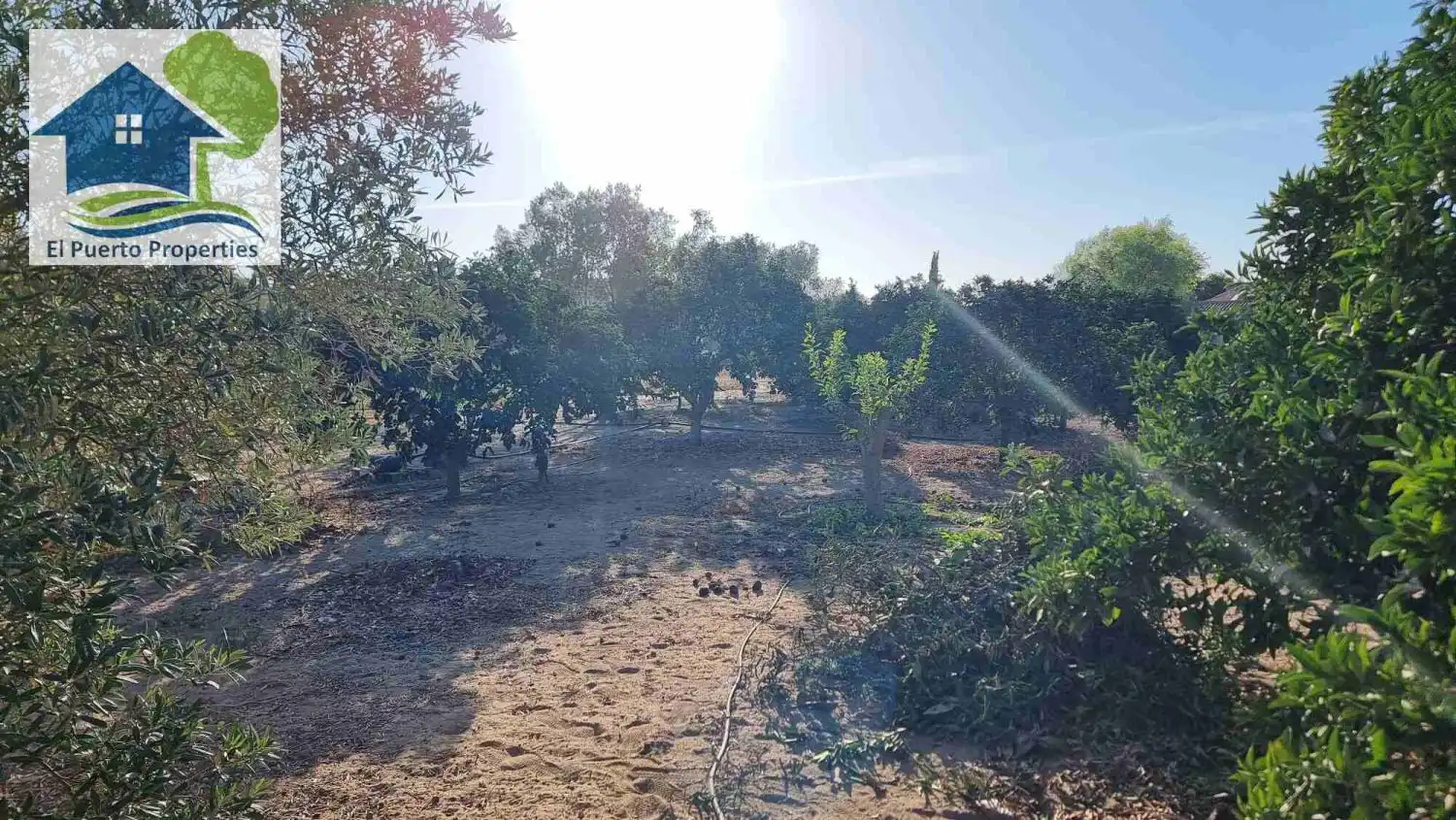 Finca rústica en venta en El Puerto de Santa María con Jardín privado, Terraza y Trastero