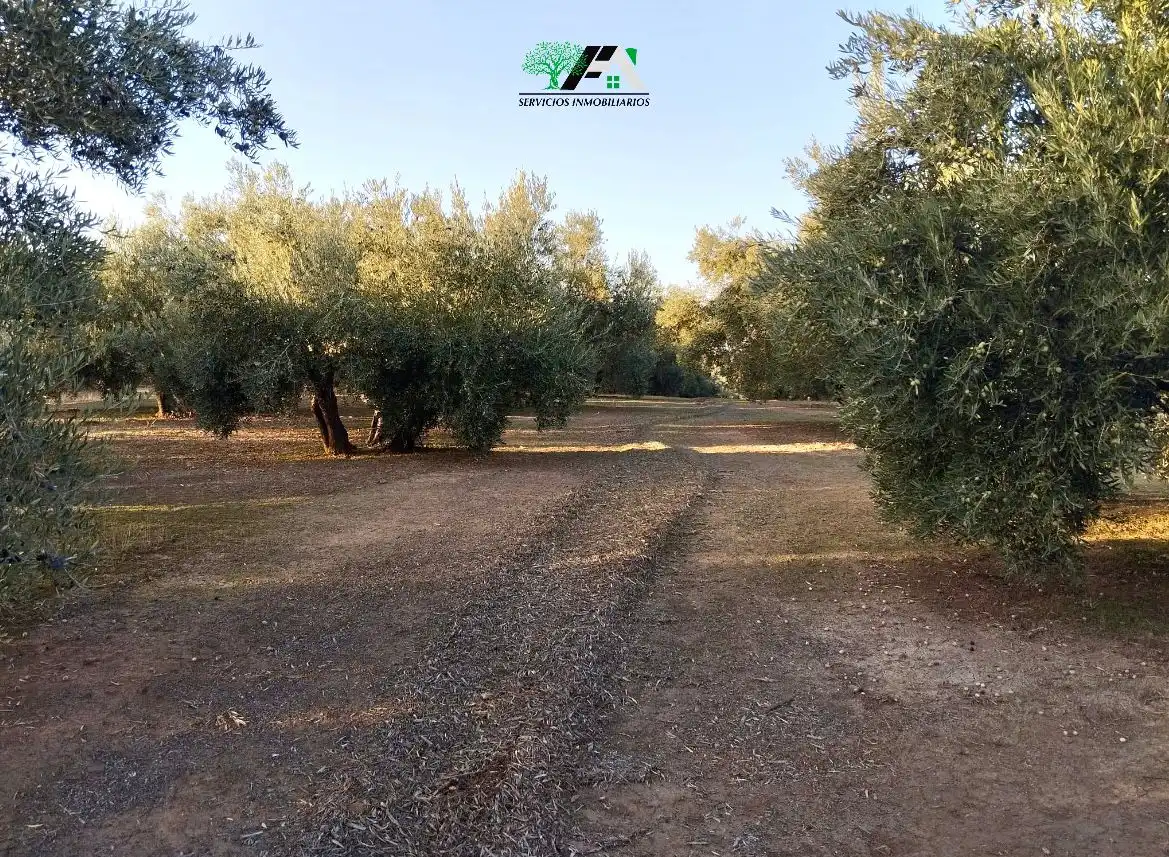 Terreni e lotti in vendita a Travesia de Linares, imagen 4