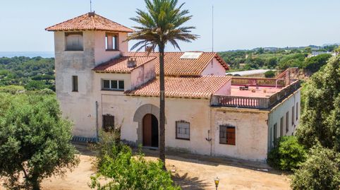 Foto 3 de Finca rústica en venta en Arenys de Mar, Spain, -1, Centre, Arenys de Mar