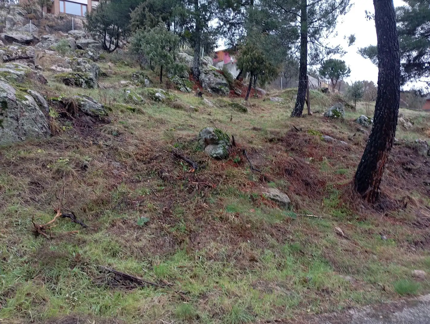 Terreni e lotti in vendita a Robledo de Chavela, imagen 32