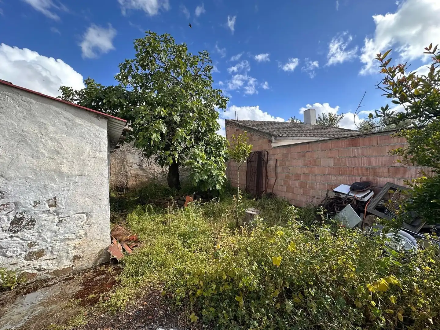 Maison avec jardin à vendre à Fuente Obejuna, imagen 2