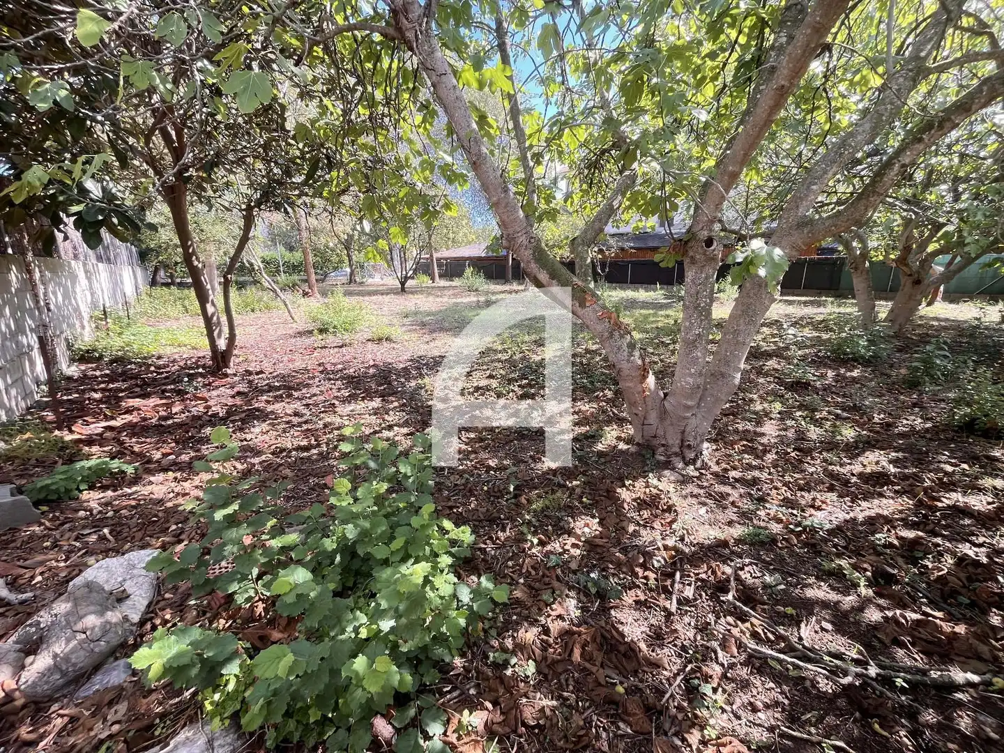 Rural land for sale in can sauleda, imagen 10