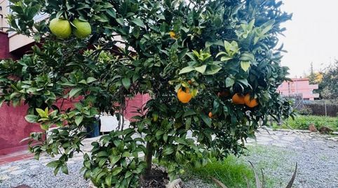 Foto 2 von Haus oder Chalet zum Verkauf in 18, Corbera de Llobregat, Barcelona