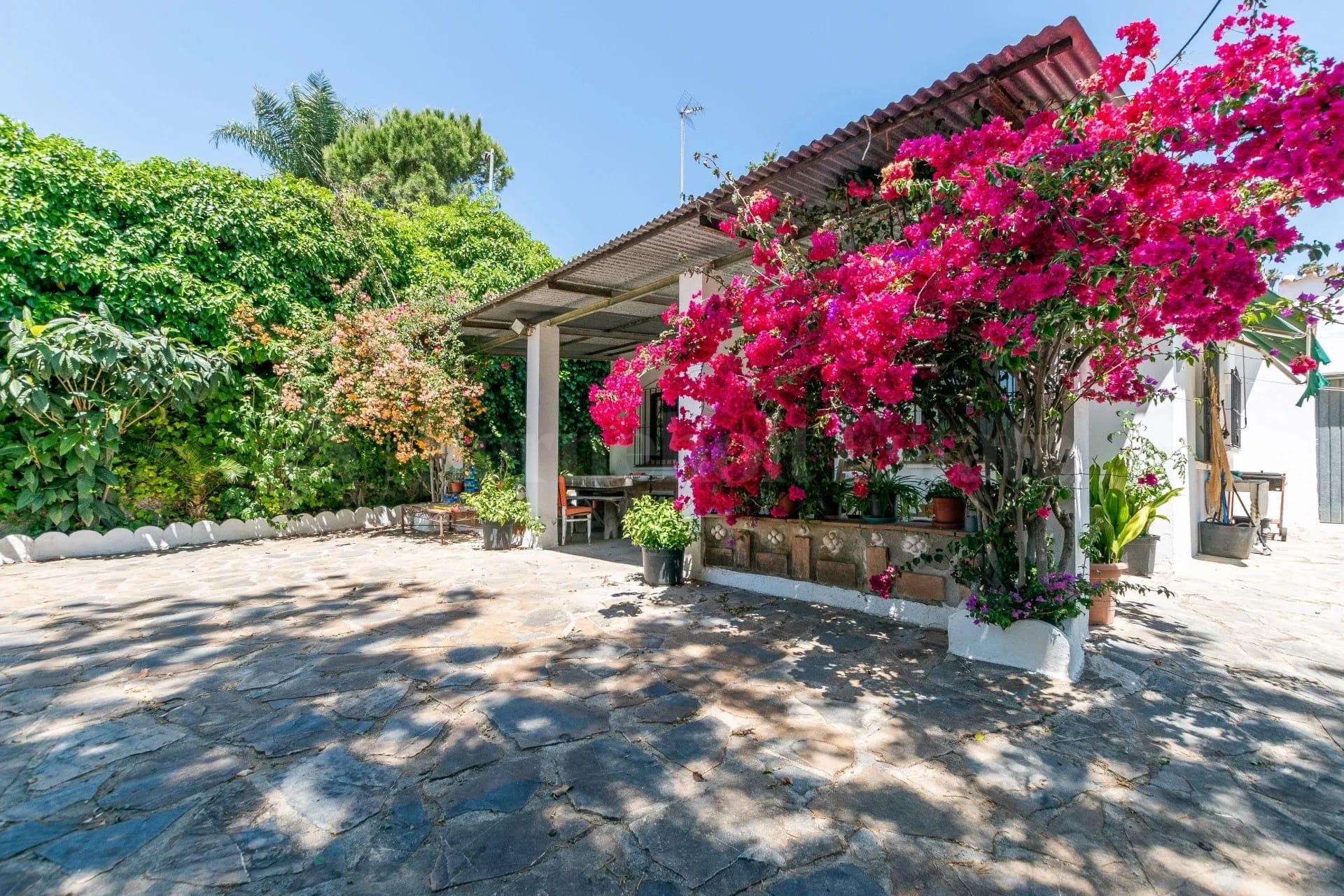 Garden of Country house for sale in Estepona