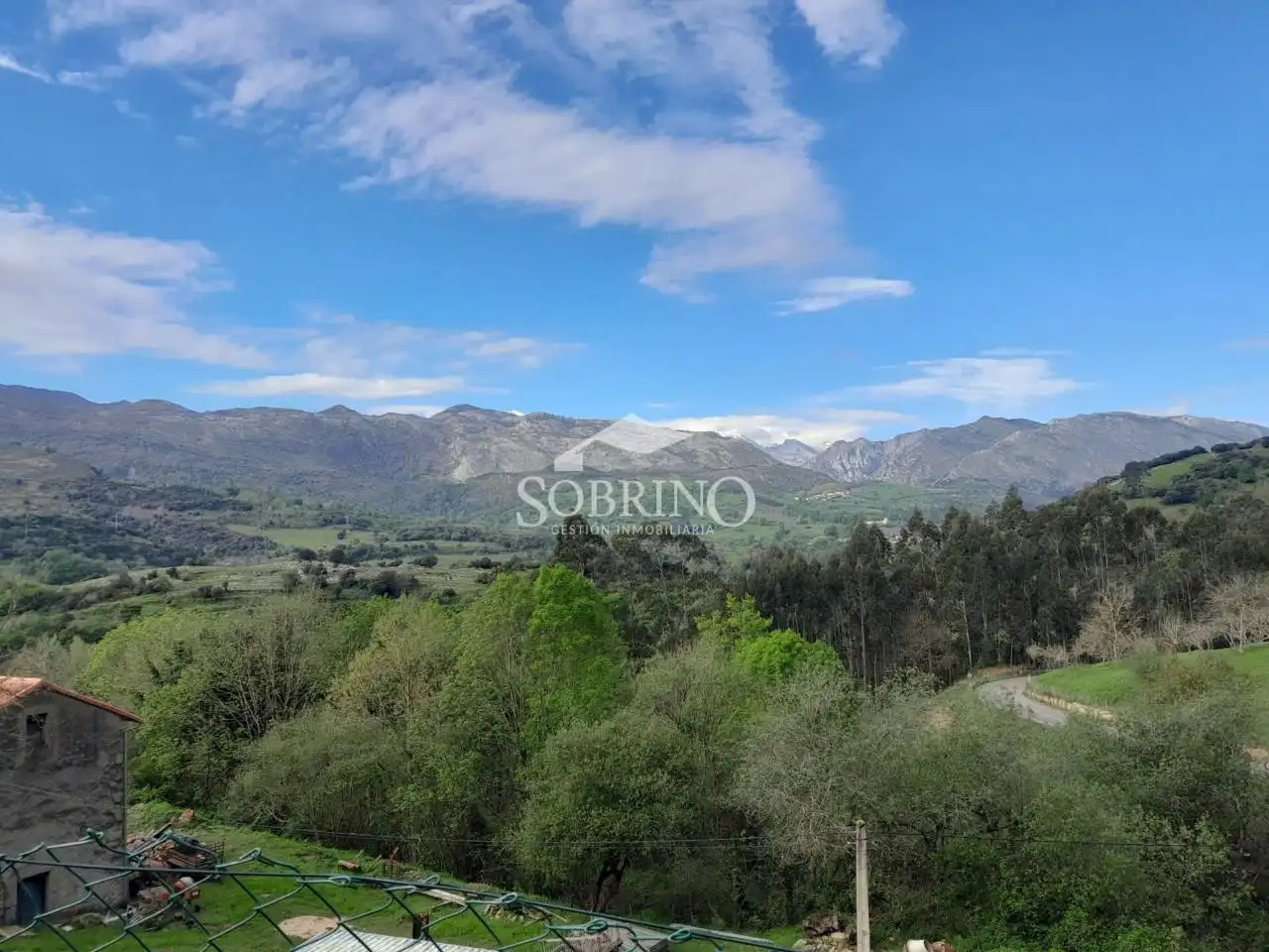 Vista exterior de Casa o chalet en venta en Peñamellera Baja con Jardín privado