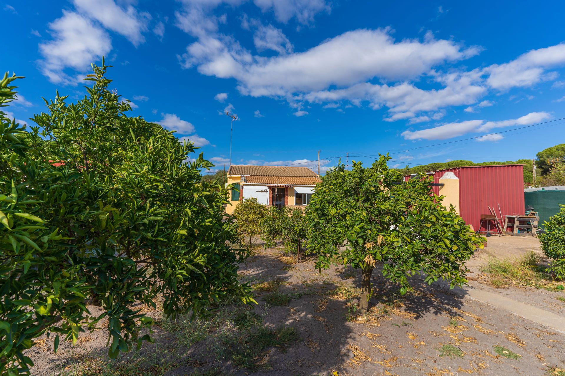 Jardí de Finca rústica en venda en Bonares amb Aire condicionat, Jardí privat i Terrassa
