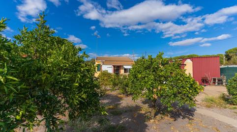 Foto 3 de Finca rústica en venda a Camino del Madroño, Bonares, Huelva