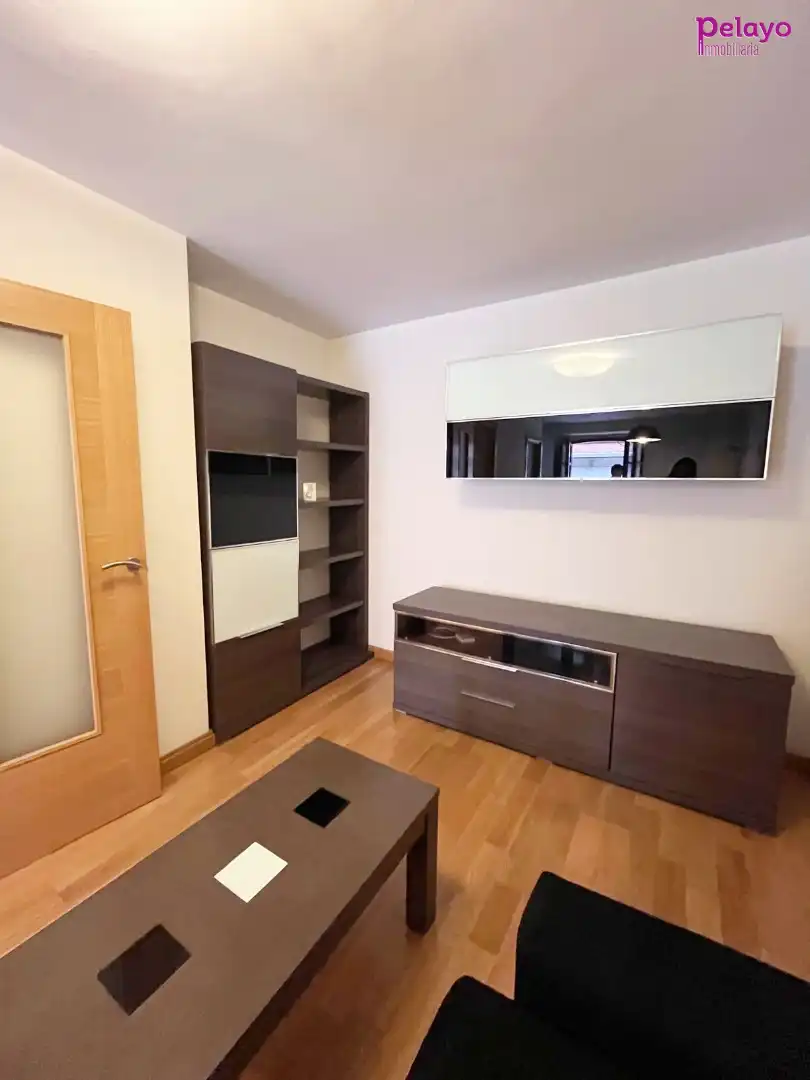 Flat with terrace for sale in pasaje de Saro 4, imagen 4