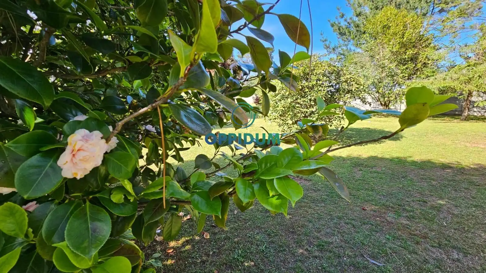 Terreni e lotti in vendita a Polígono 192 Parcela 414 AGRA DA LEIRA CARBALLO, imagen 9