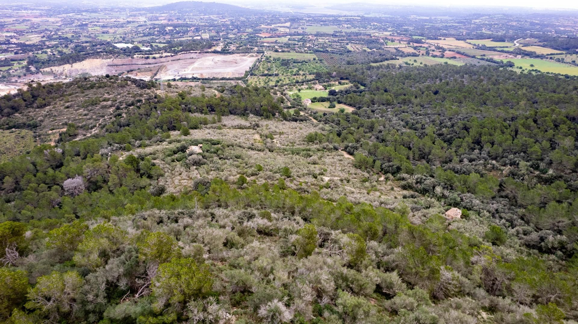 Terreny industrial en venda en Manacor