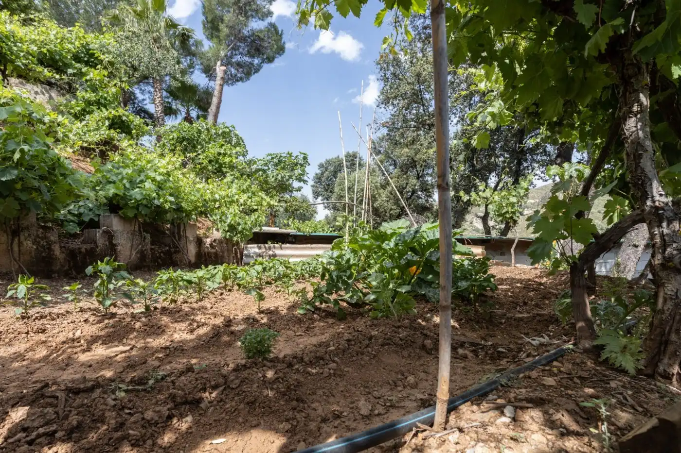 Jardín de Casa o chalet en venta en Dúdar con Aire acondicionado, Calefacción y Jardín privado