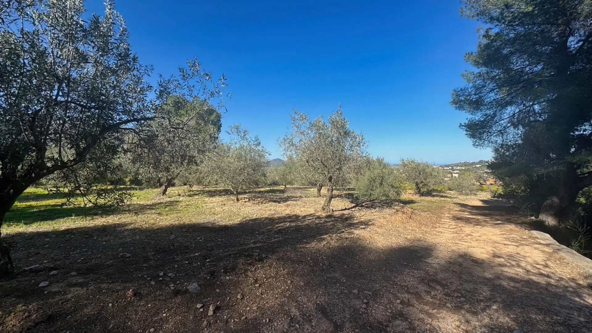 Terrenos y solares en venta en Orba, imagen 8