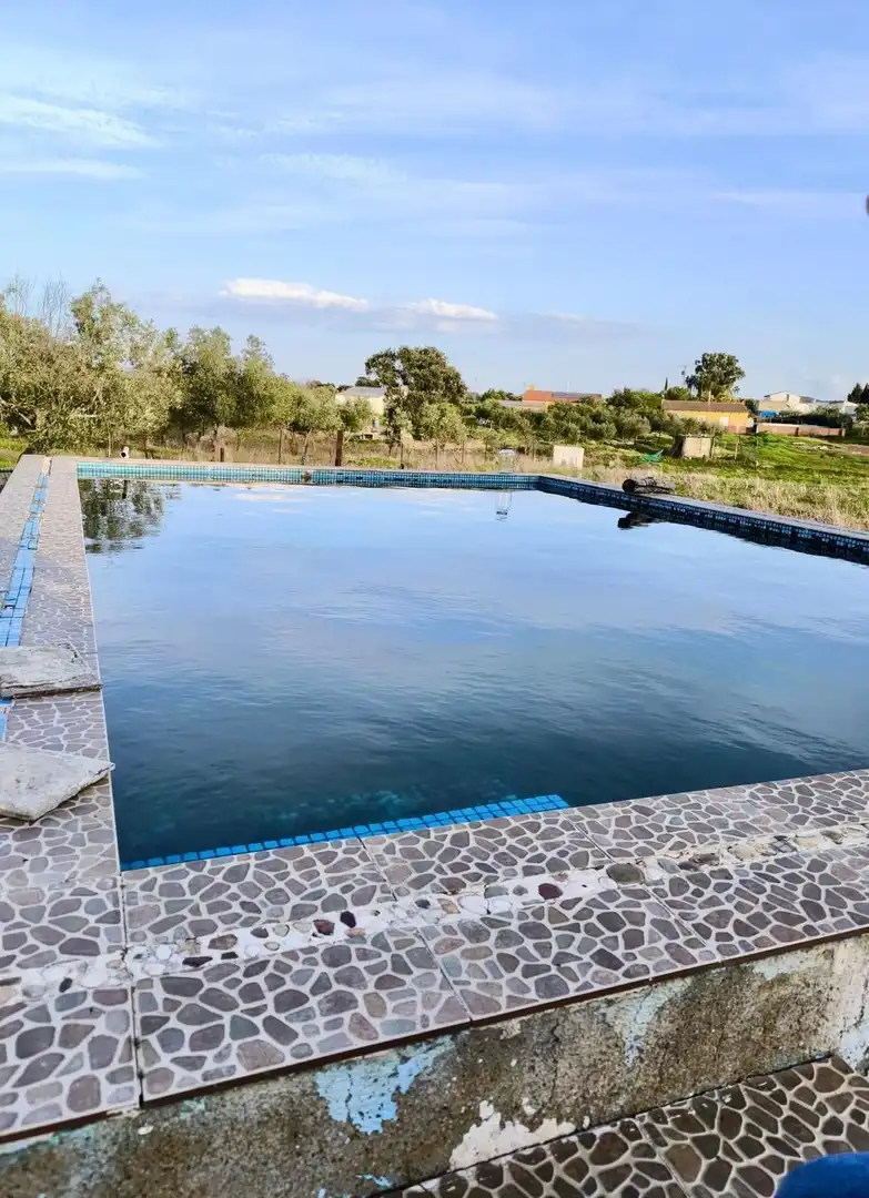 Piscina de Finca rústica en venta en Peñarroya-Pueblonuevo con Jardín privado, Trastero y Piscina