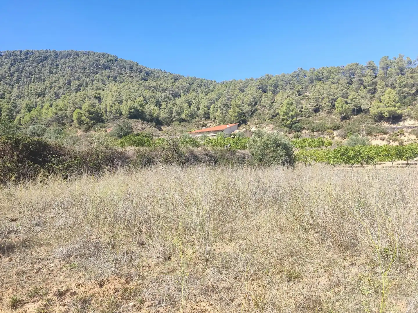 Rural land for sale in Horta de Sant Joan, imagen 8