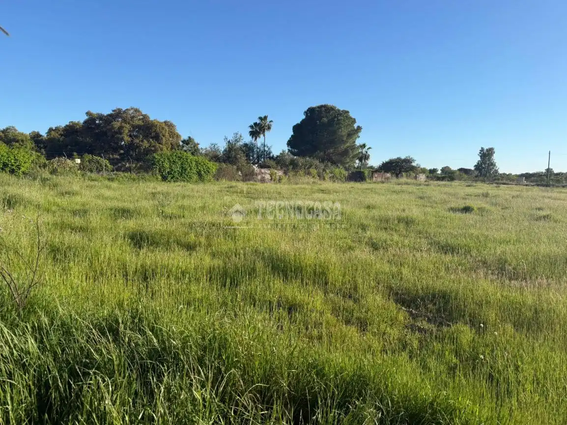 Terreni e lotti in vendita a Pedanías de Badajoz, imagen 5