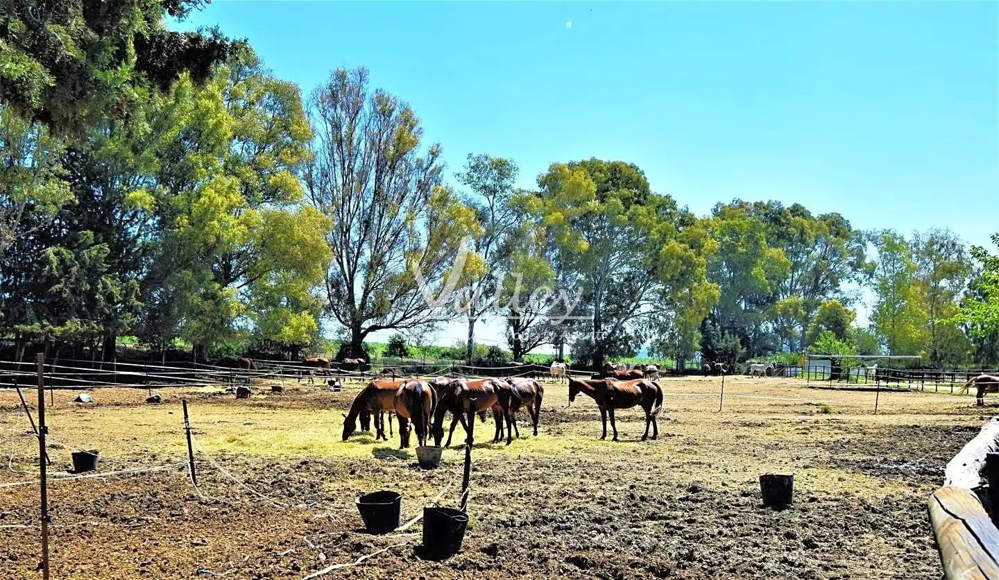 Terreni e lotti in vendita a Jimena de la Frontera, imagen 68