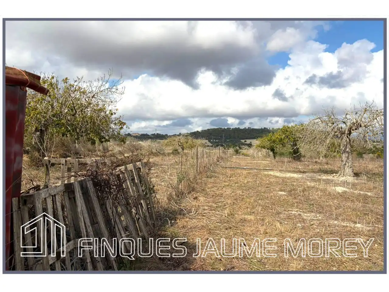Finca rústica en venta en Maria de la Salut con Jardín privado