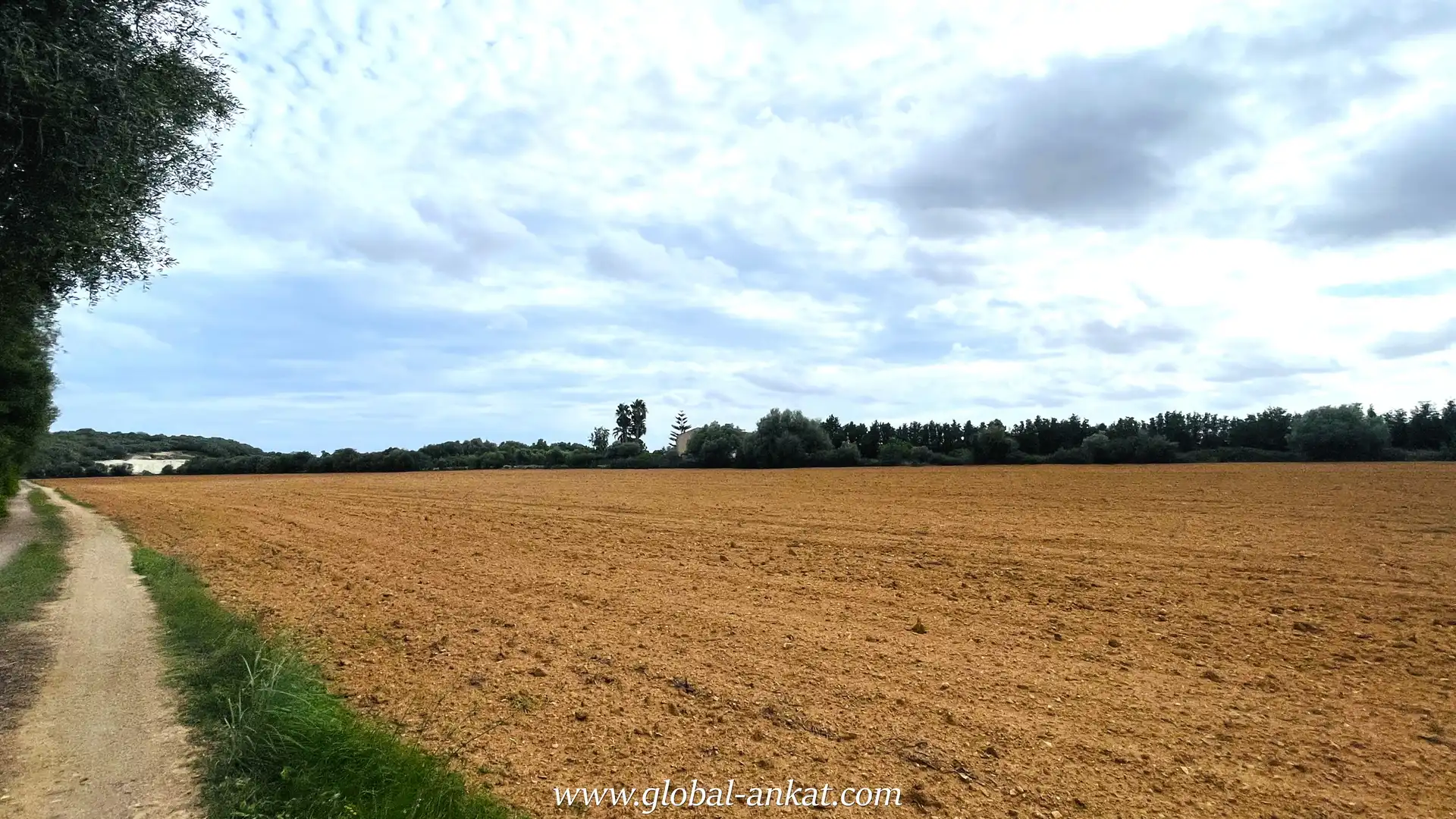 Residential land for sale in Felanitx Poble, imagen 5