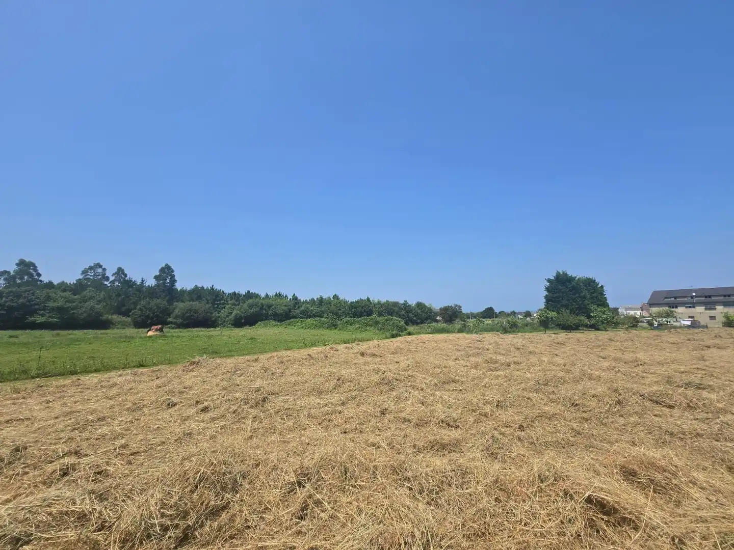Residential land for sale in Carretera GENERAL SAN PEDRO 148, imagen 24