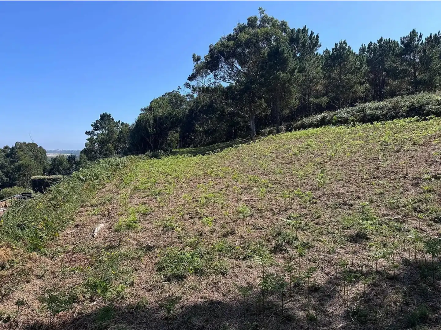 Terreni e lotti in vendita a Área Rural, imagen 10