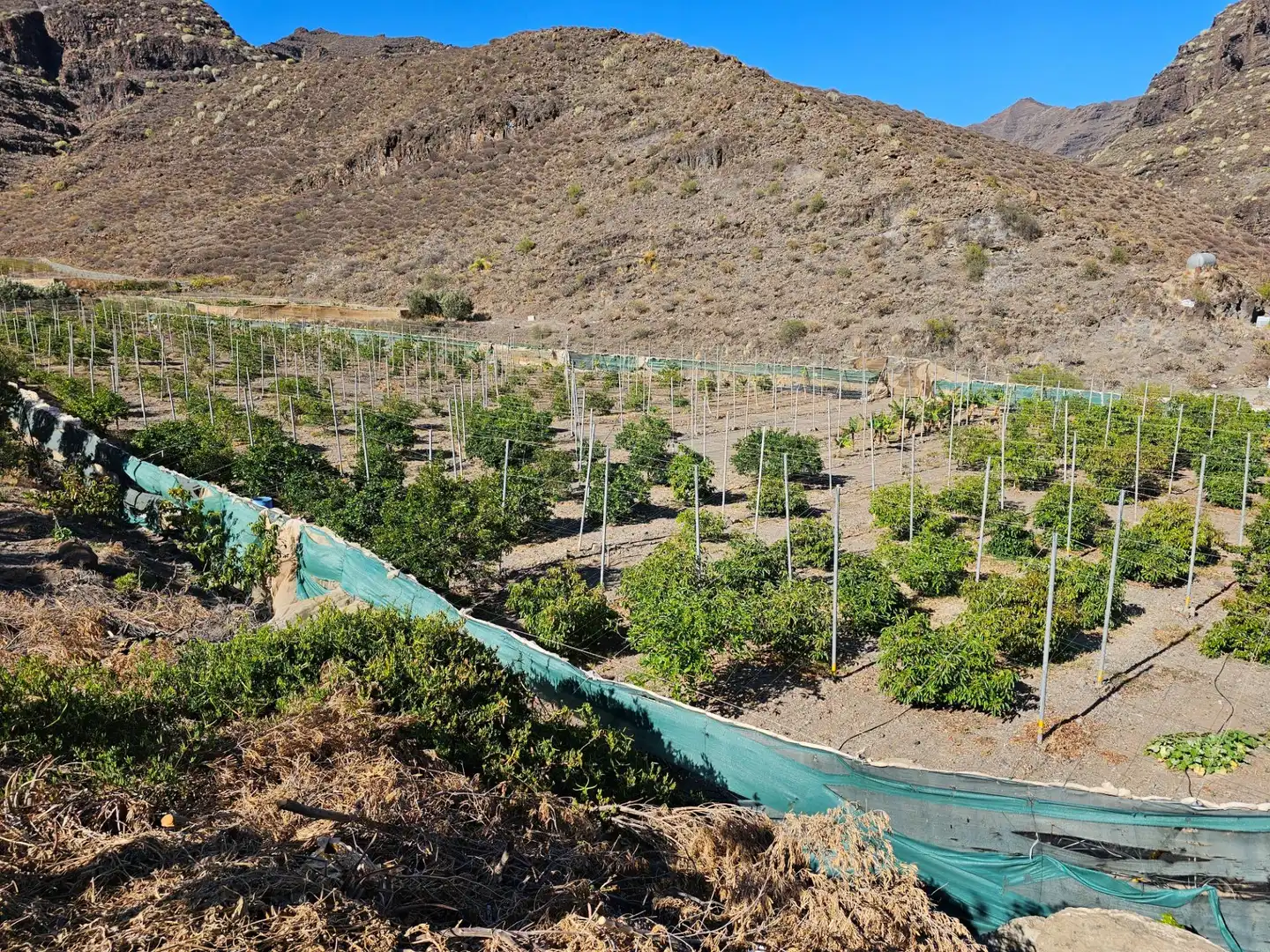 Vista exterior de Finca rústica en venta en La Aldea de San Nicolás  con Jardín privado, Terraza y Trastero
