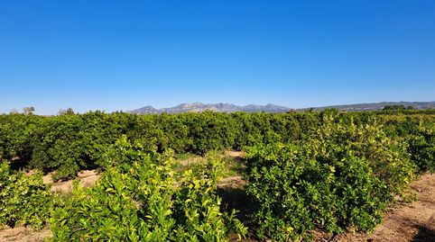 Foto 2 de Terreno en venta en Urbanitzacions i Pedanies Nord, Alzira