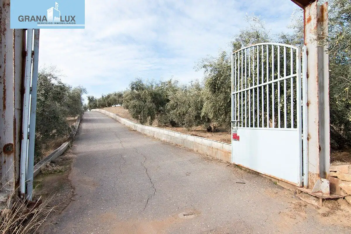 Country homes for sale in Loja