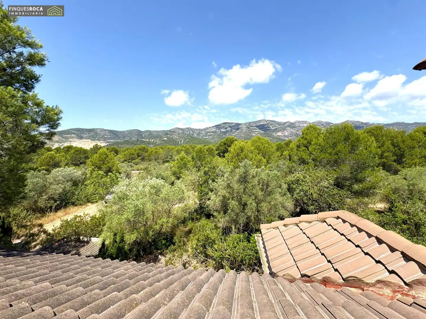 Vista exterior de Casa o xalet en venda en Alcanar amb Aire condicionat, Calefacció i Jardí privat